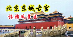 人妖汇编手机在线中国北京-东城古宫旅游风景区